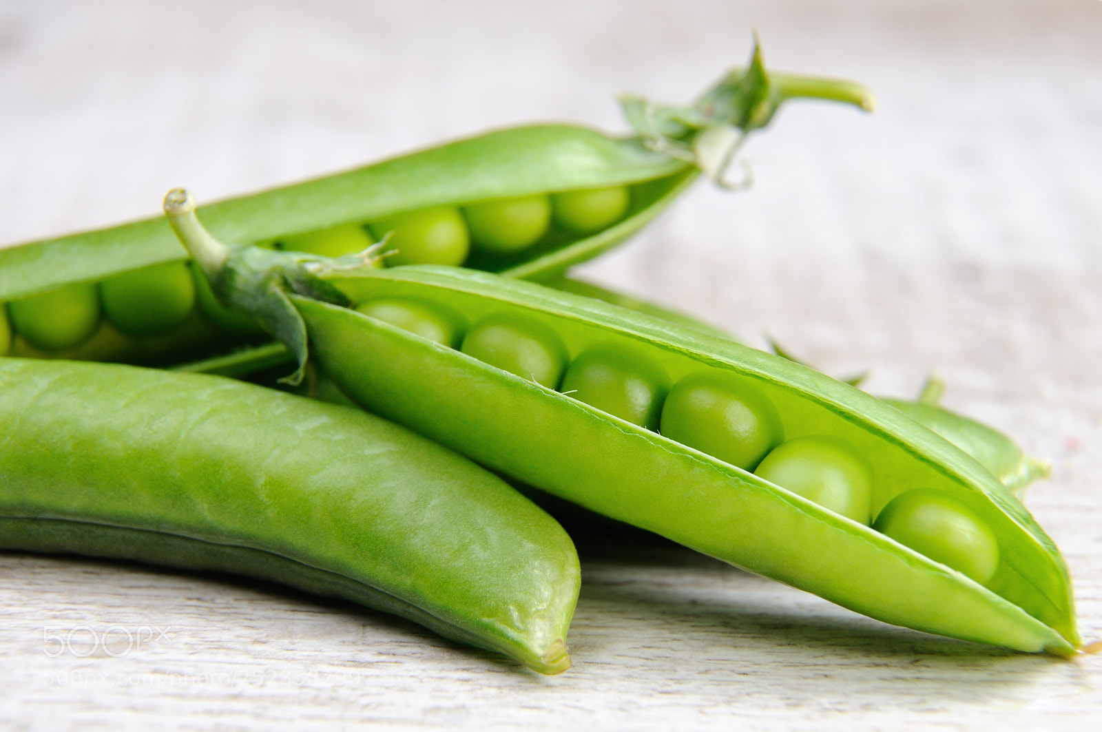 Nikon D90 sample photo. Pods of fresh green photography