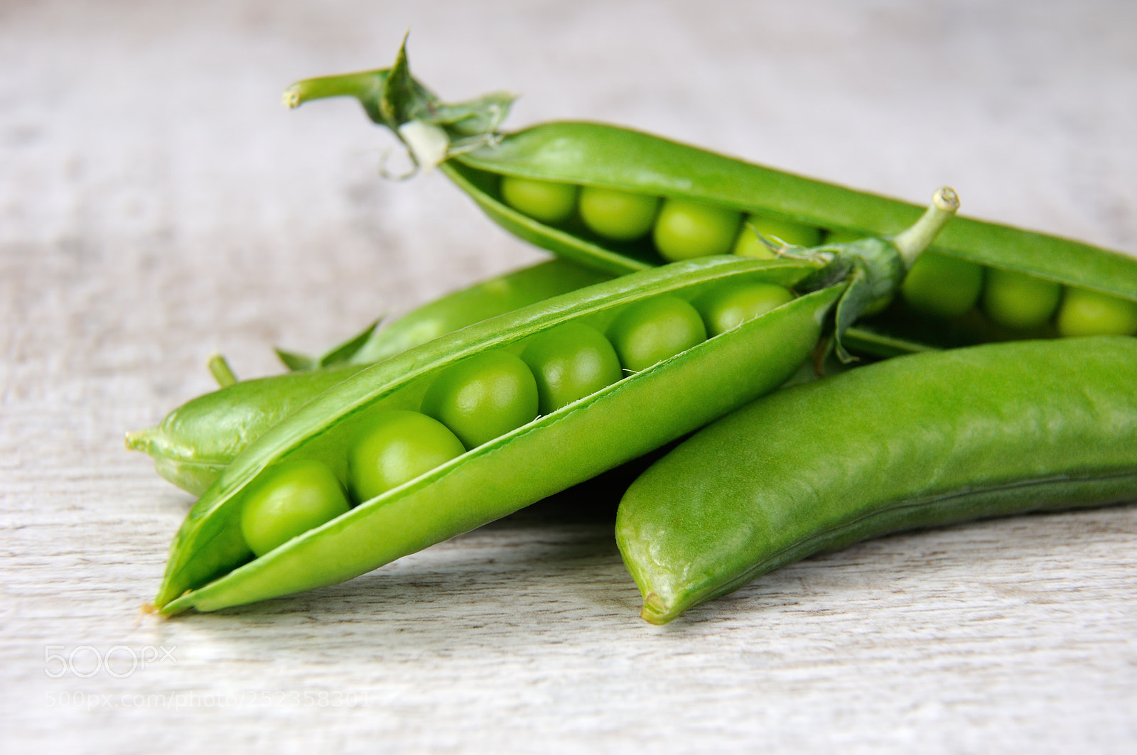 Nikon D90 sample photo. Pods of fresh green photography