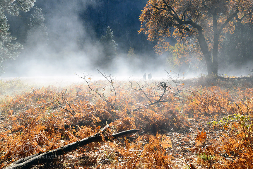 Nikon D800E sample photo. Misty sunrise photography