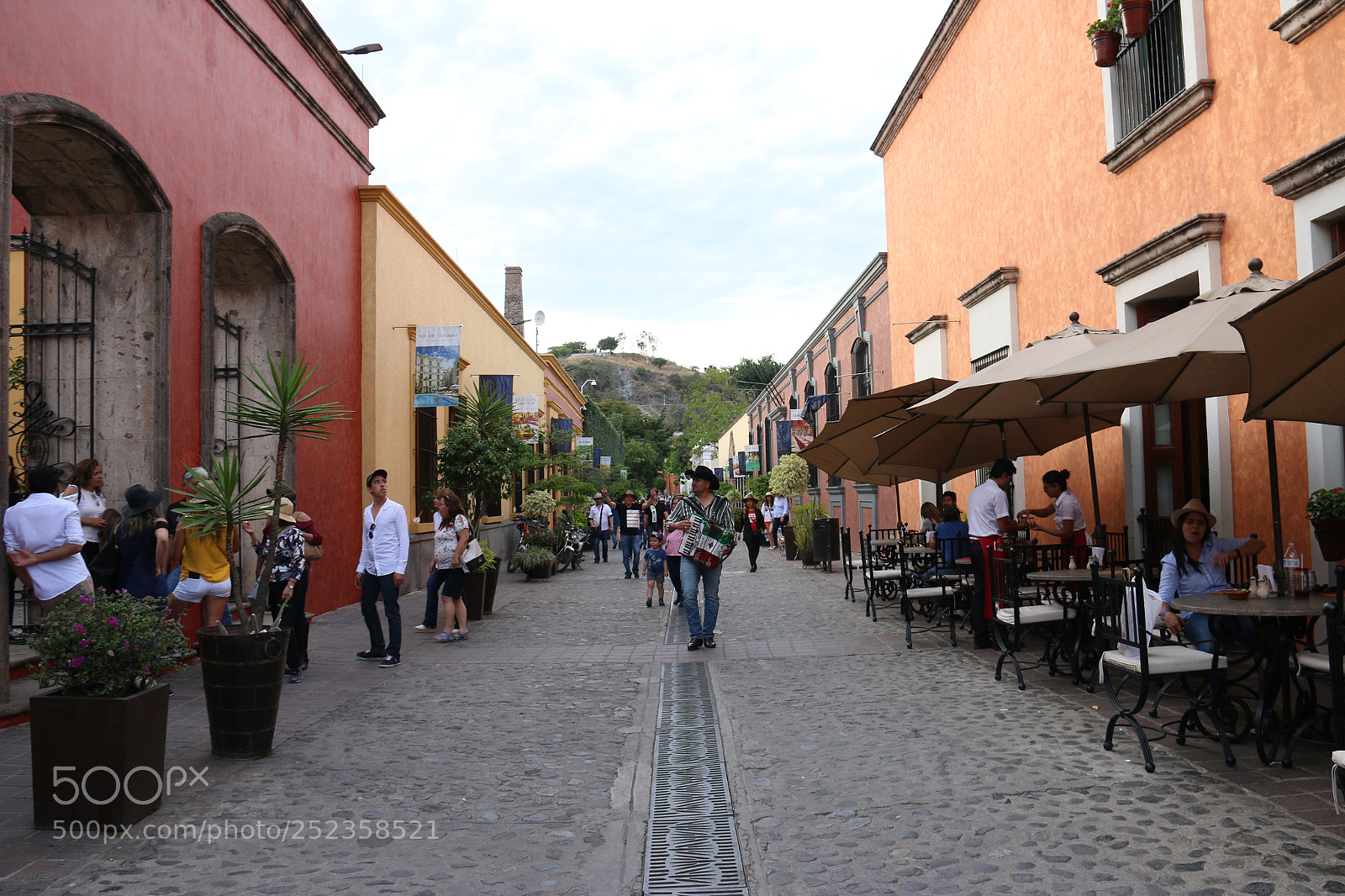 Canon EF-S 18-200mm F3.5-5.6 IS sample photo. Img photography