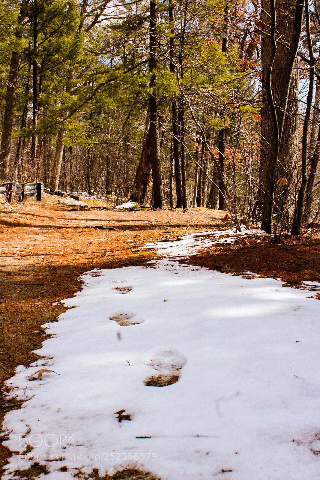 Canon EOS 1300D (EOS Rebel T6 / EOS Kiss X80) sample photo. Footstep path photography