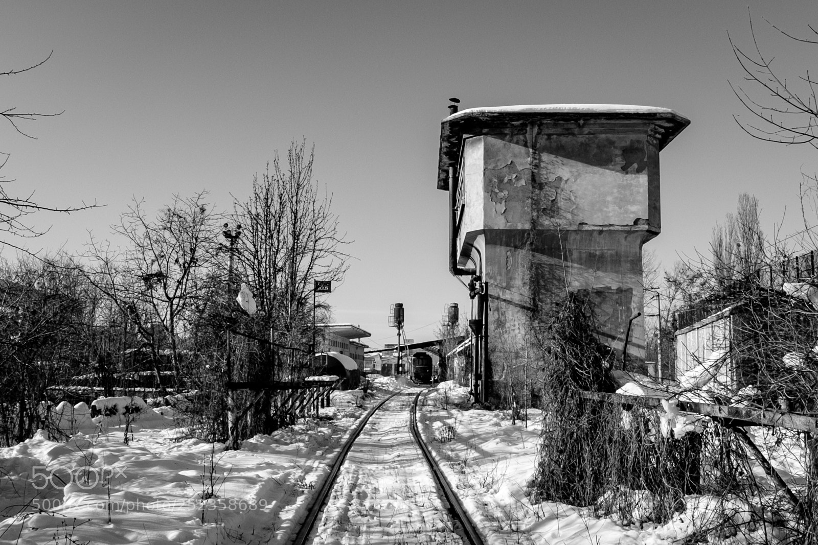 Fujifilm X-T2 sample photo. Untitled photography