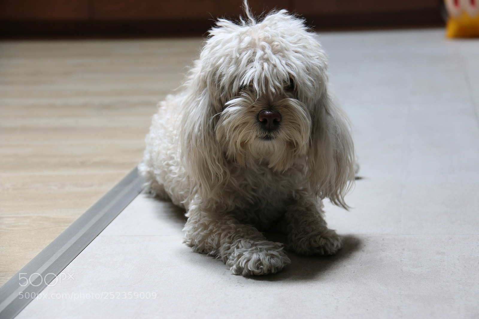 Canon EOS 70D sample photo. 01.jpg photography