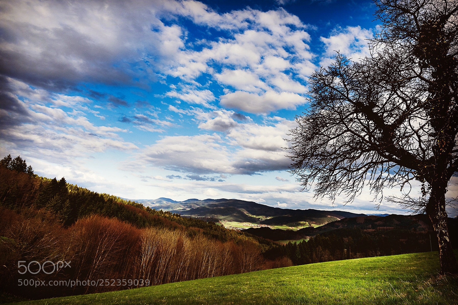 Sony a7 II sample photo. Heimat photography
