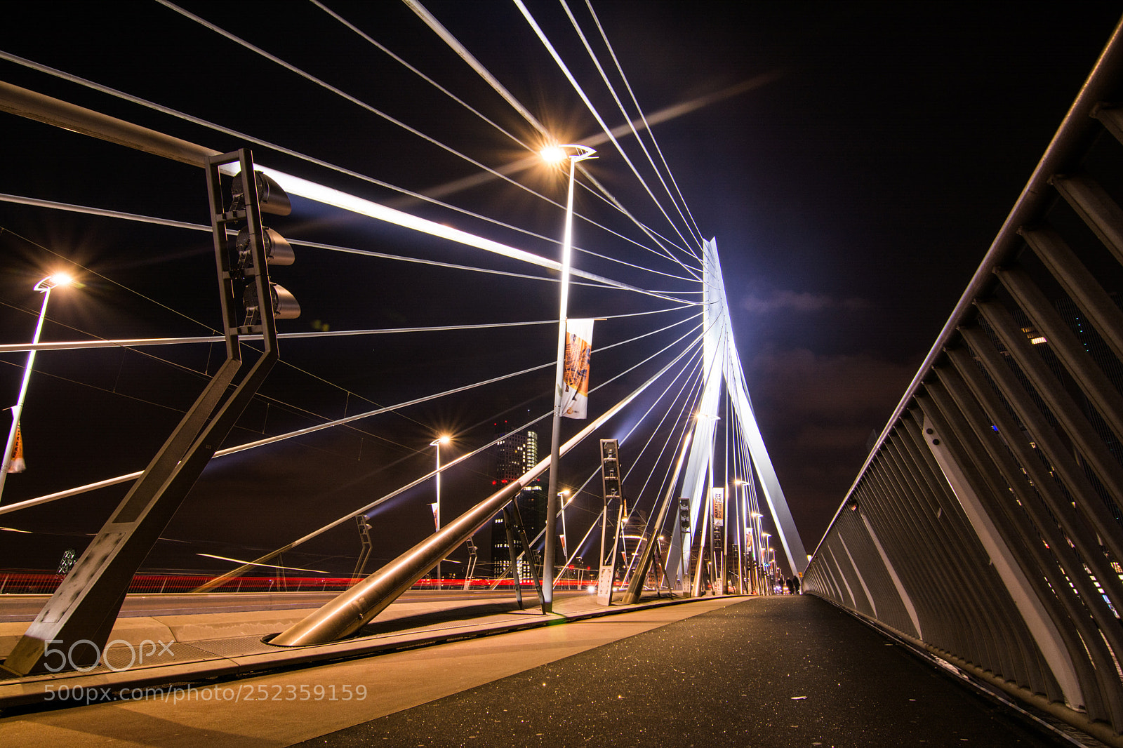 Nikon D5200 sample photo. Rotterdam bridge  photography