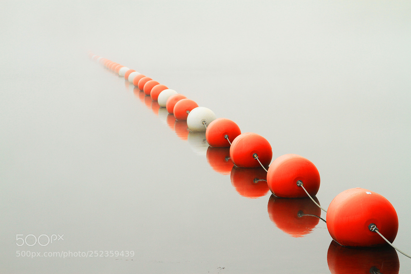 Canon EOS 7D sample photo. A line to the photography