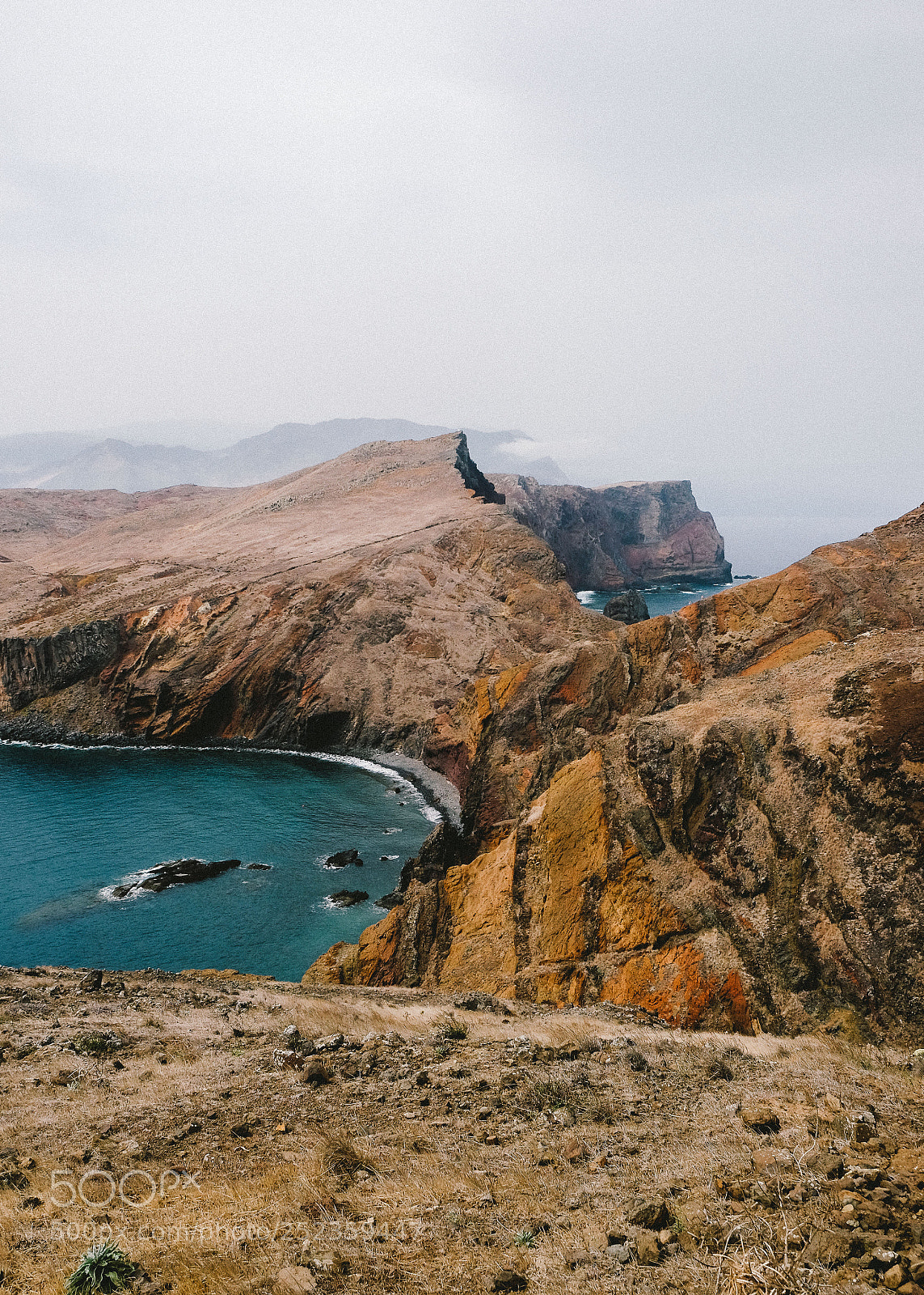 Fujifilm X-T1 sample photo. Madeira_4 photography