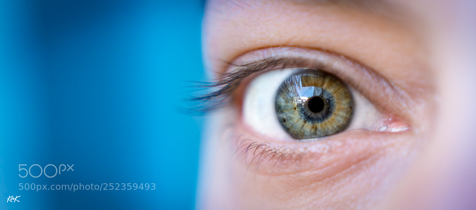 Nikon D7100 sample photo. I photography