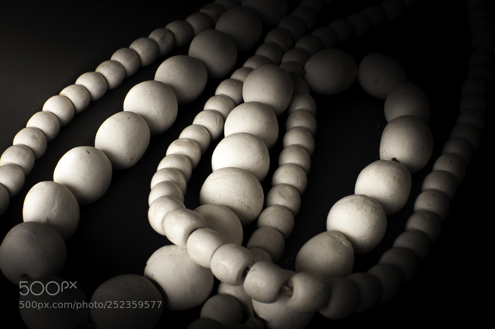 Nikon D5000 sample photo. Abstract curl photography