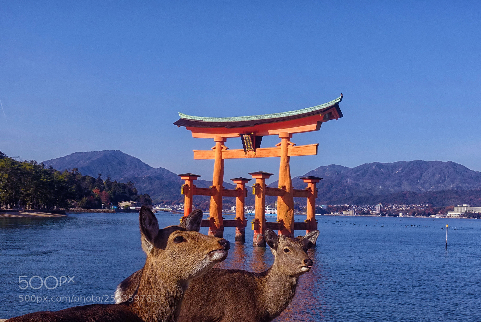 Sony Cyber-shot DSC-RX100 III sample photo. Deer at itsukushima shrine photography