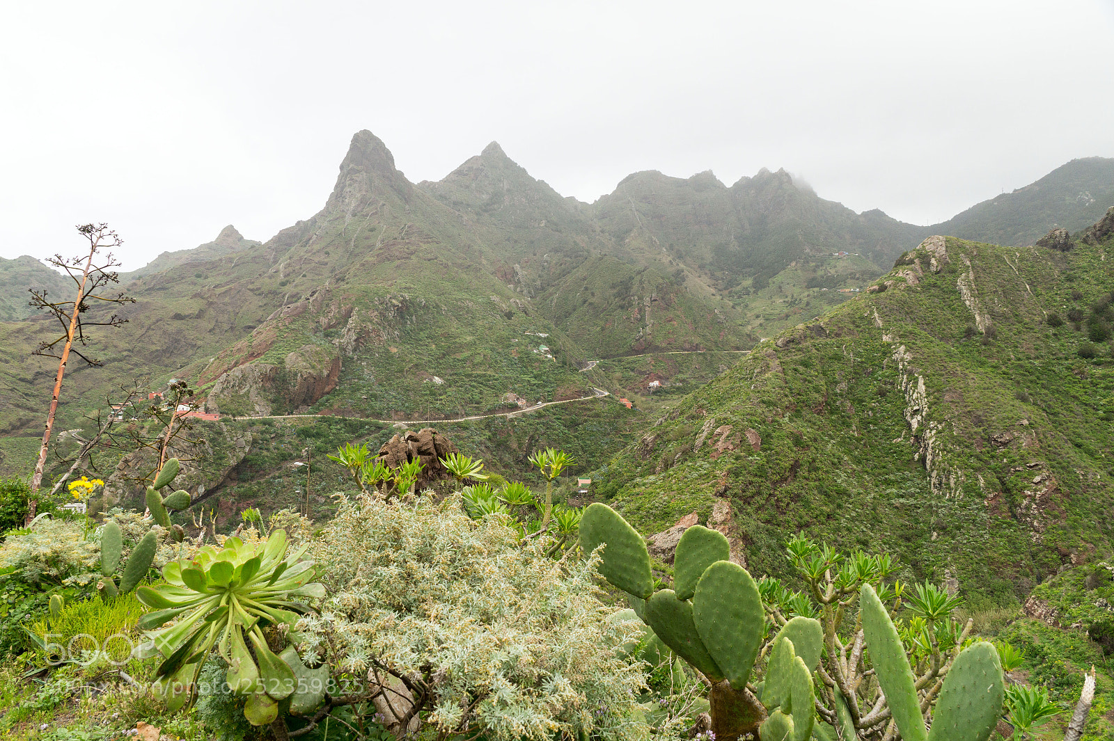 Sony SLT-A58 sample photo. Afur-tal im anaga-gebirge, teneriffa photography