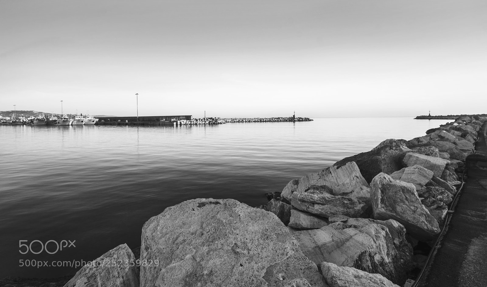 Nikon D7200 sample photo. The beginnings and the photography