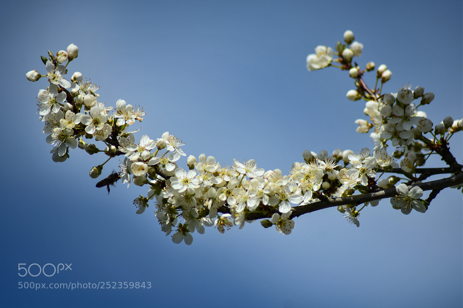 Nikon D7200 sample photo. Untitled photography