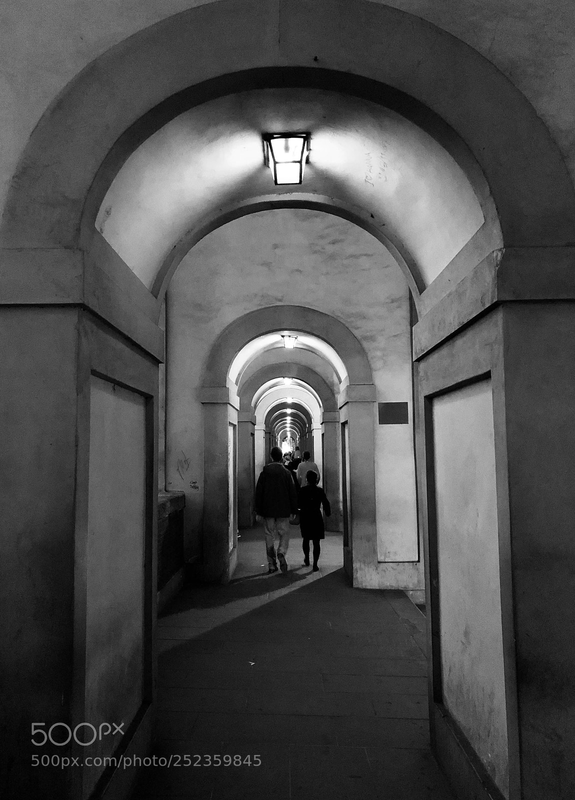 Apple iPhone X sample photo. Lambertesca georgofili  photography