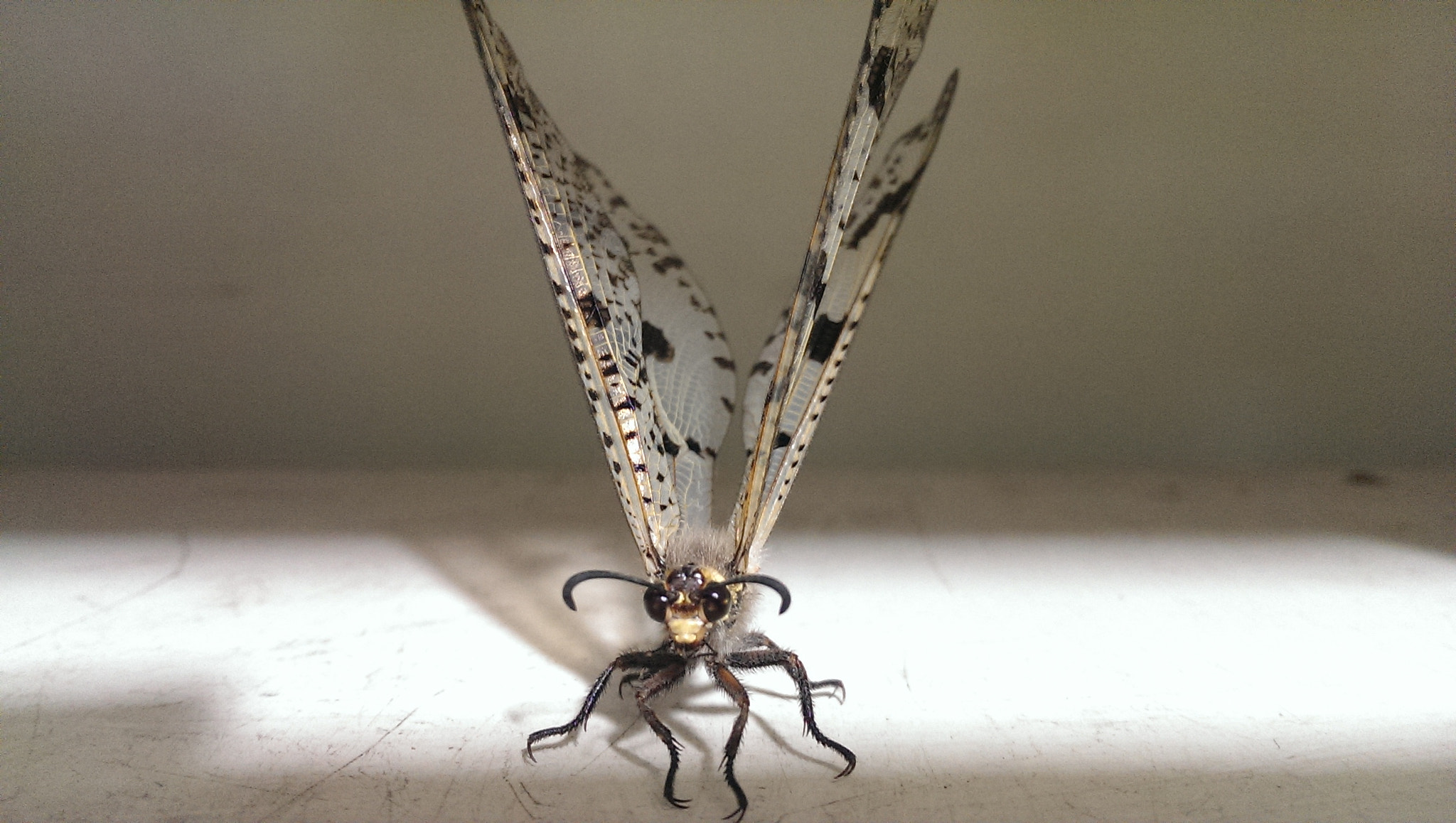 HTC ONE sample photo