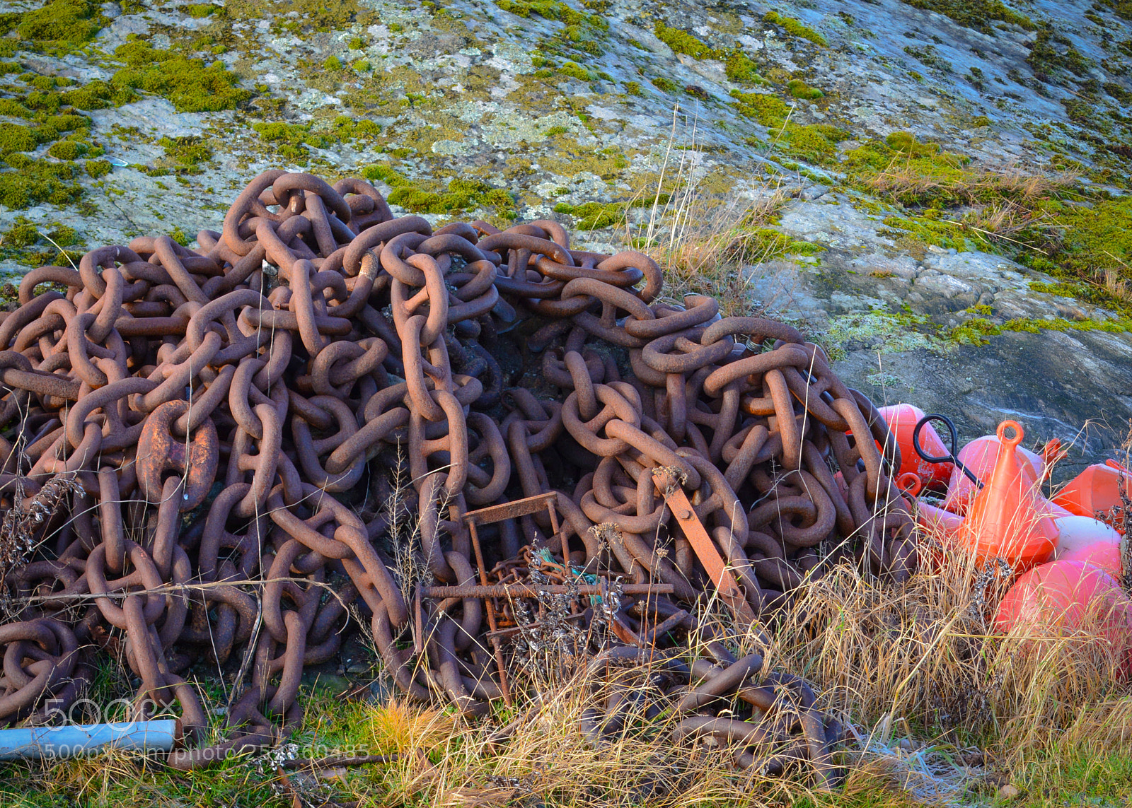 Nikon D5200 sample photo. Chains of life. photography