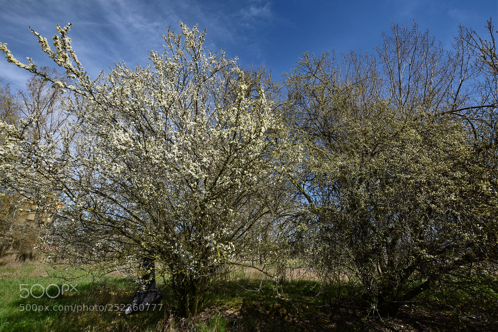 Nikon D7200 sample photo. Untitled photography