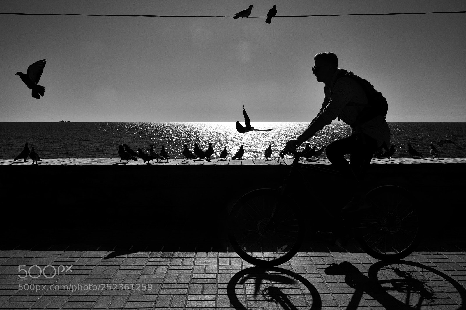Canon EOS 5D Mark II sample photo. Black scene photography