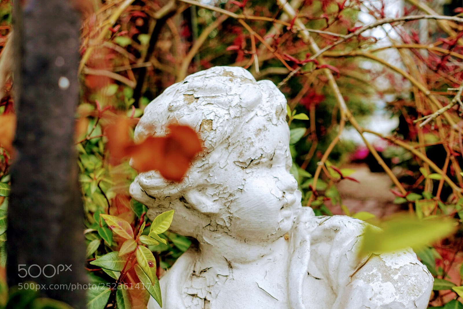 Sony Cyber-shot DSC-RX100 IV sample photo. Garden lady photography