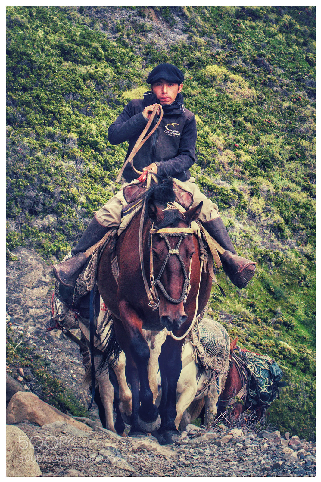 Nikon D5300 sample photo. Gaucho photography