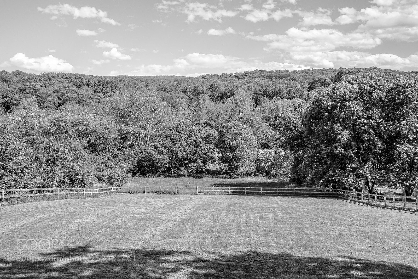 Sony a5100 sample photo. Dsc00009-2.jpg photography