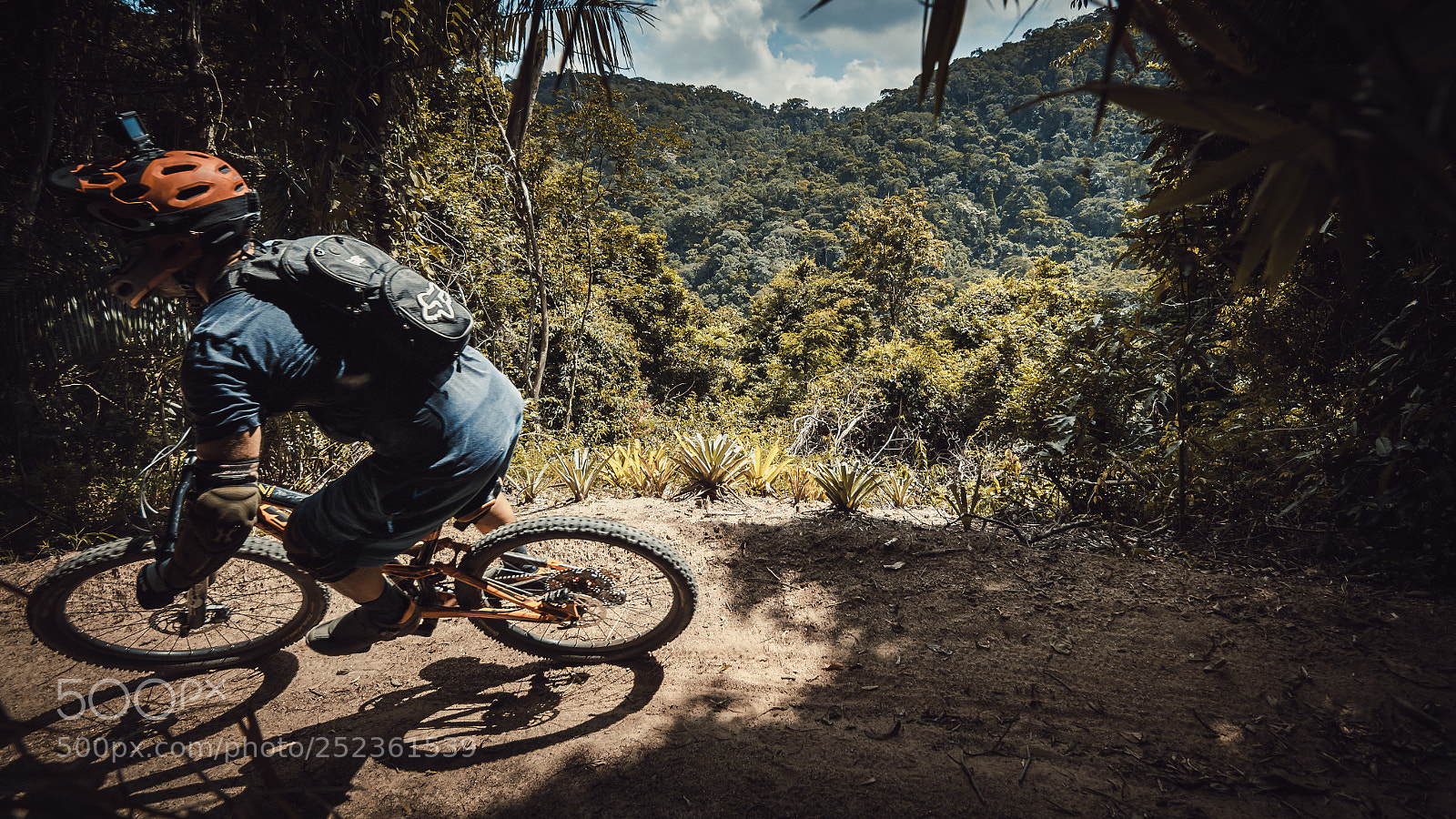 Sony a7R II sample photo. Downhill raposo bike park photography