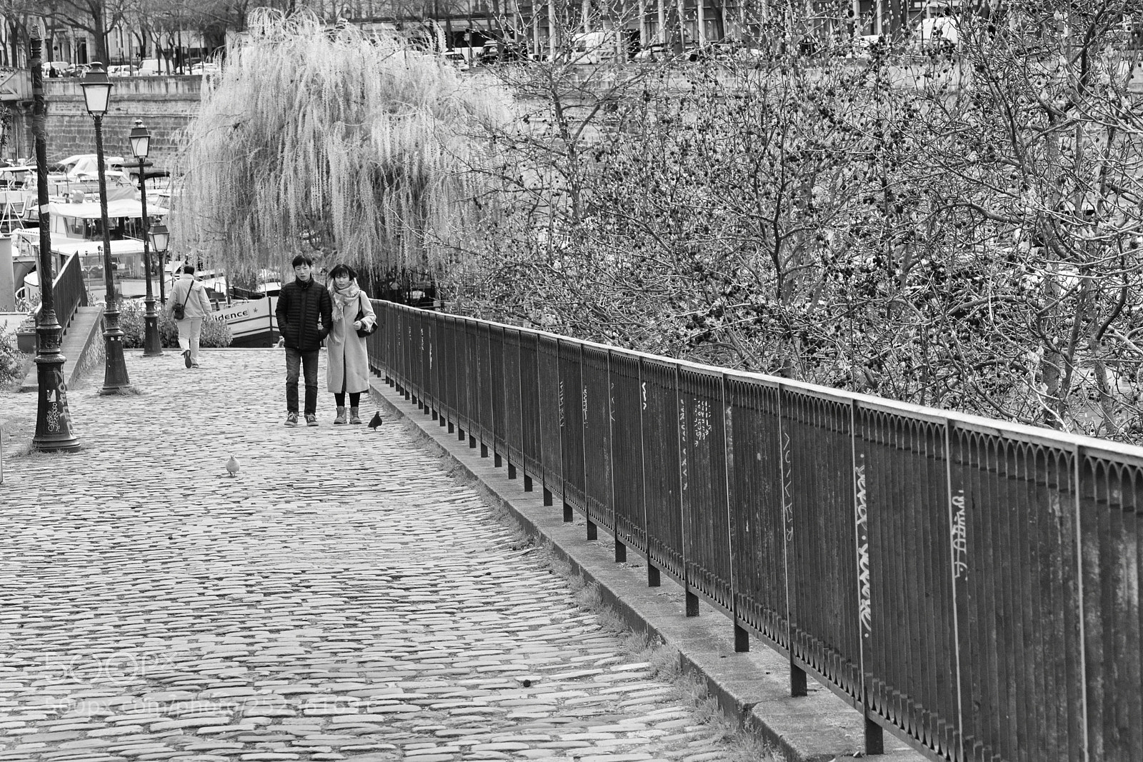 Nikon D800 sample photo. Paris - port de photography