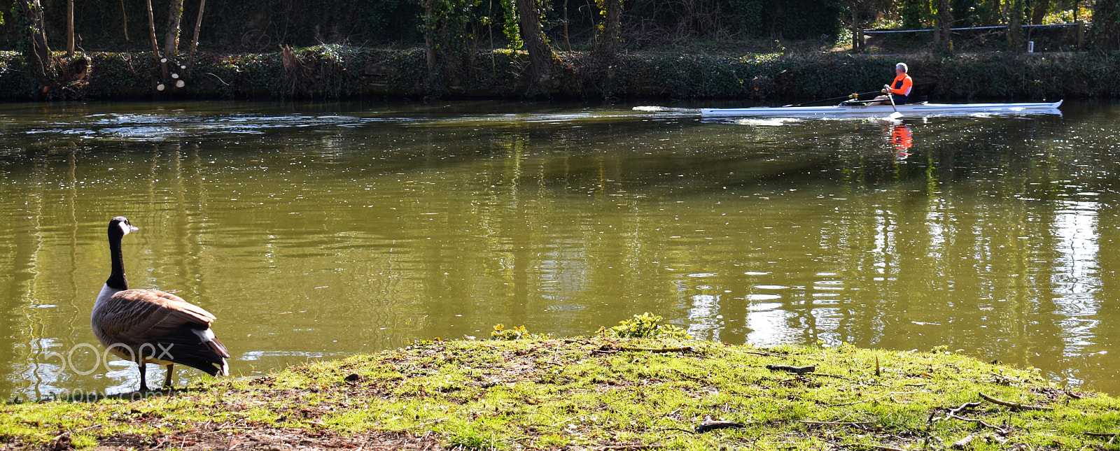 Nikon D3400 sample photo. Life race on river. photography