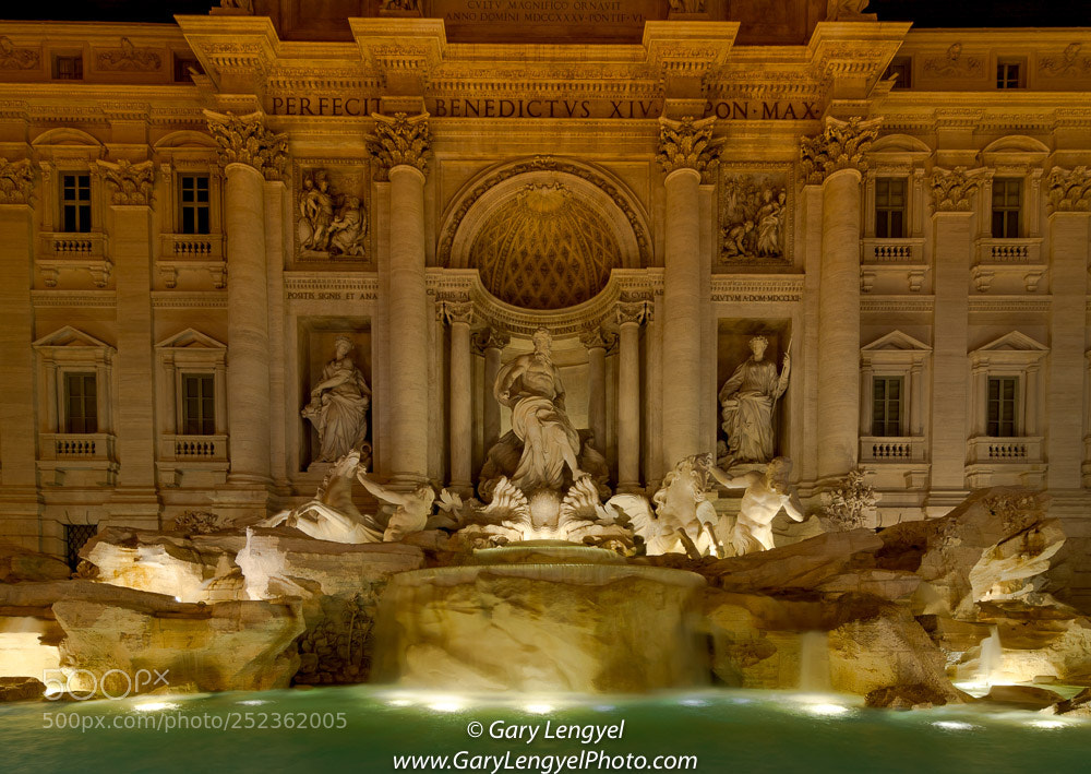 Nikon D7100 sample photo. Trevi fountain photography