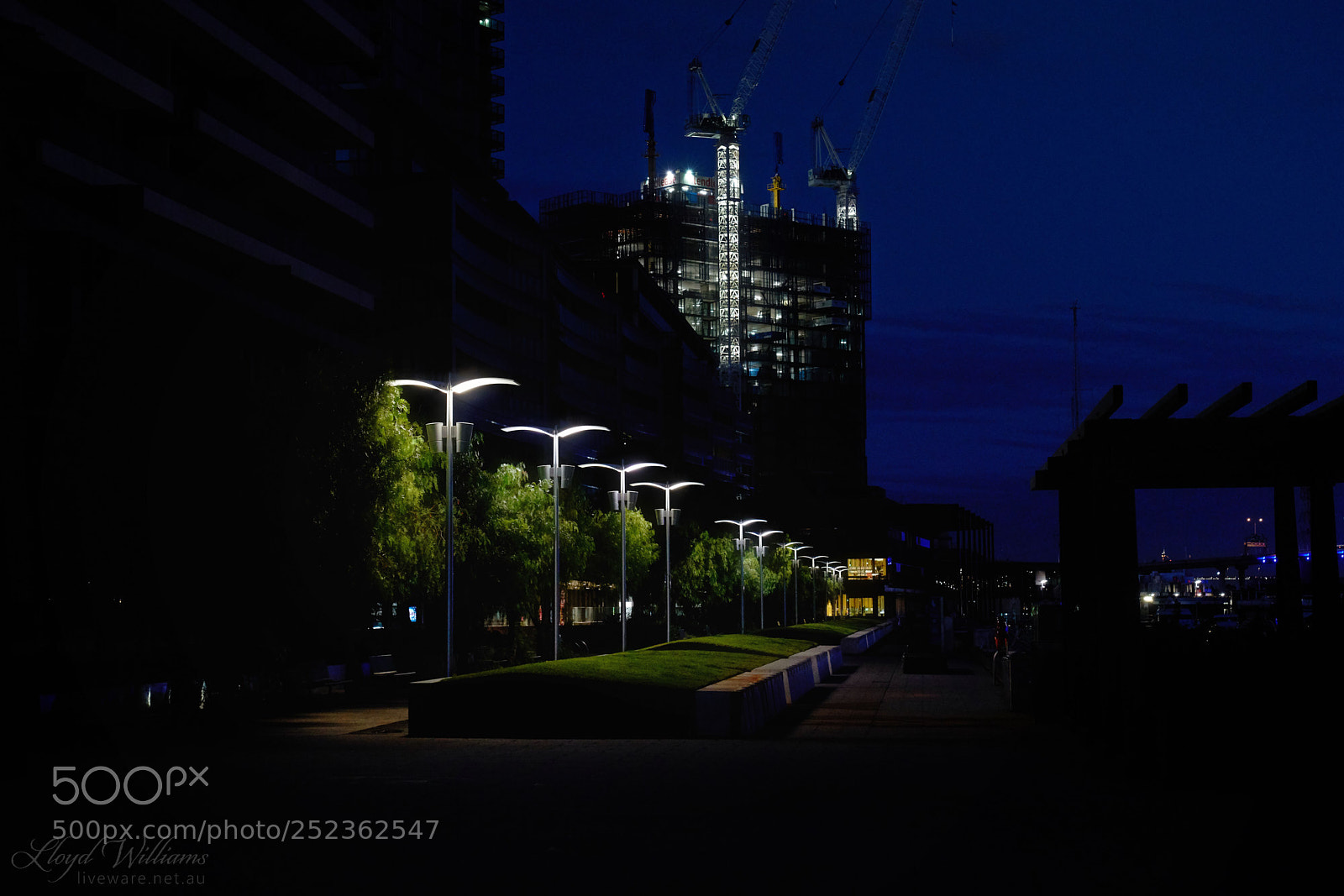 Sony a7R II sample photo. Blue dawn over green photography