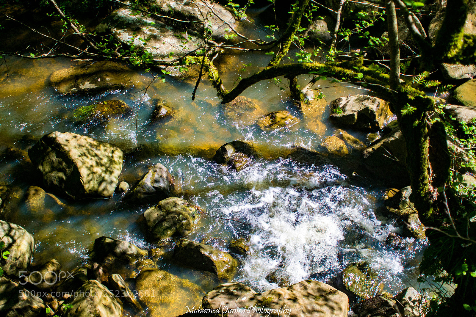 Nikon D3100 sample photo. Nature in tunisia photography