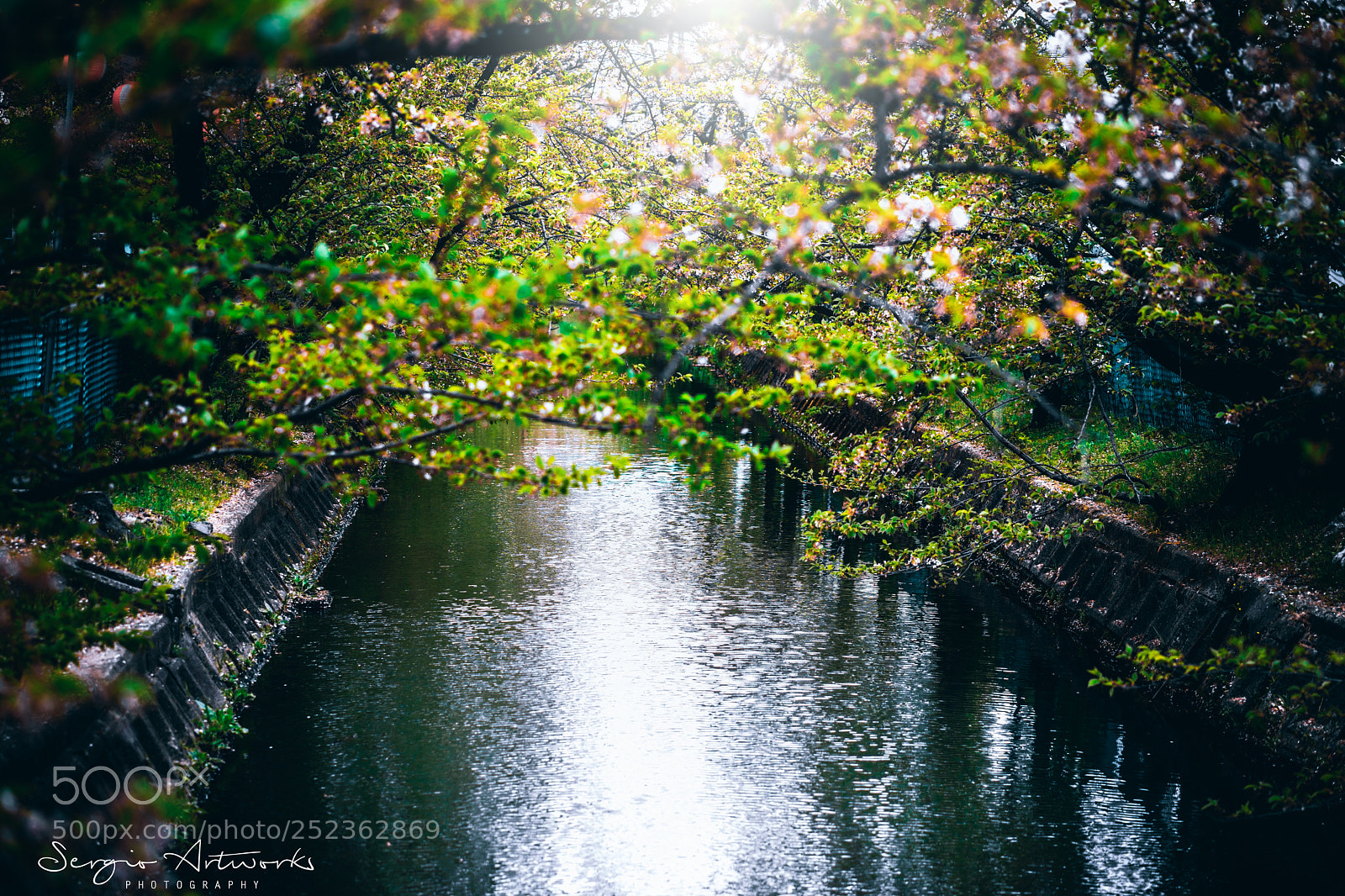 Sony a7 II sample photo. Sunagosuiro, osaka photography