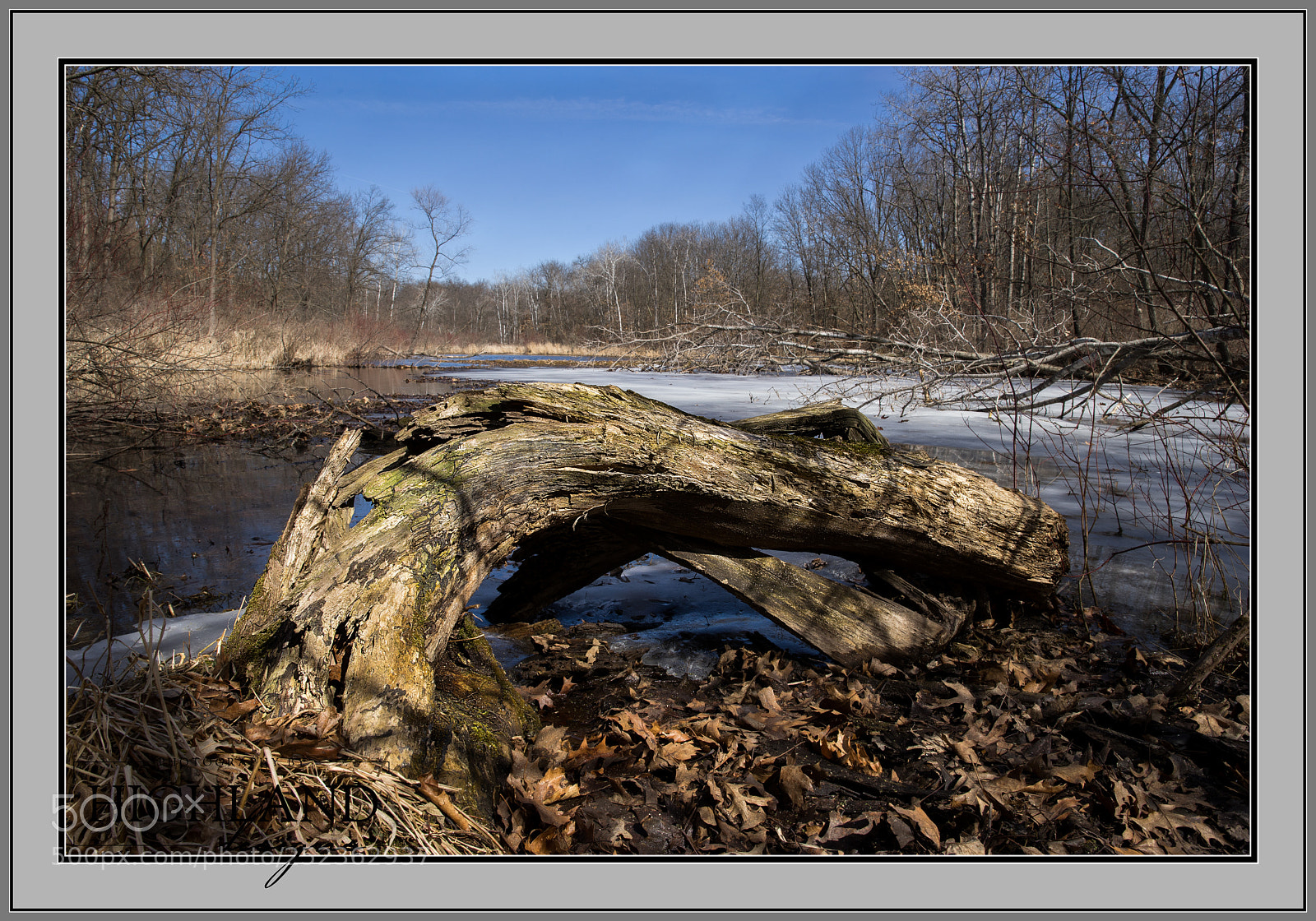 Sony a7 II sample photo. Swisted log at the photography