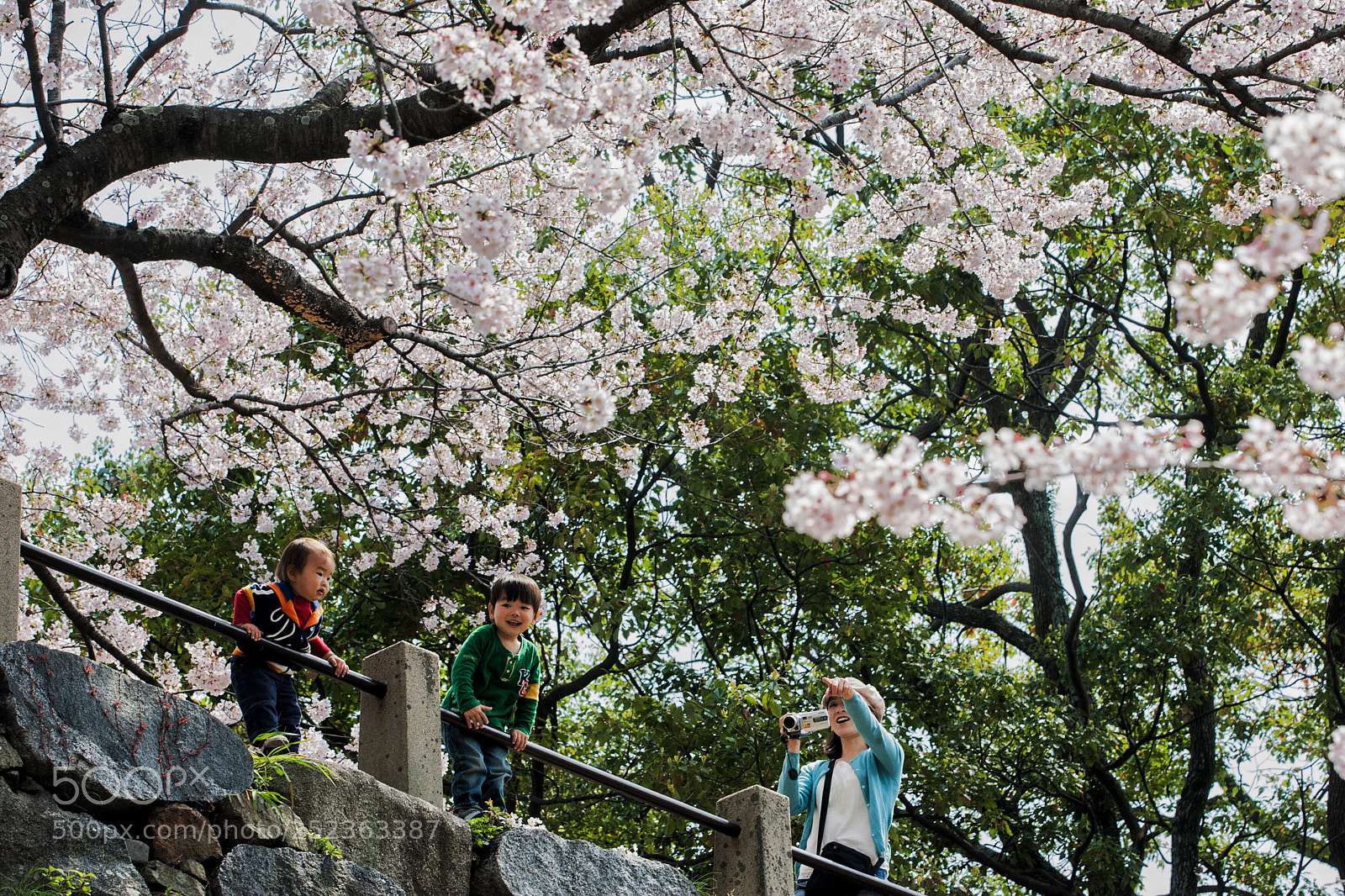 Canon EOS-1D Mark II N sample photo. Untitled photography