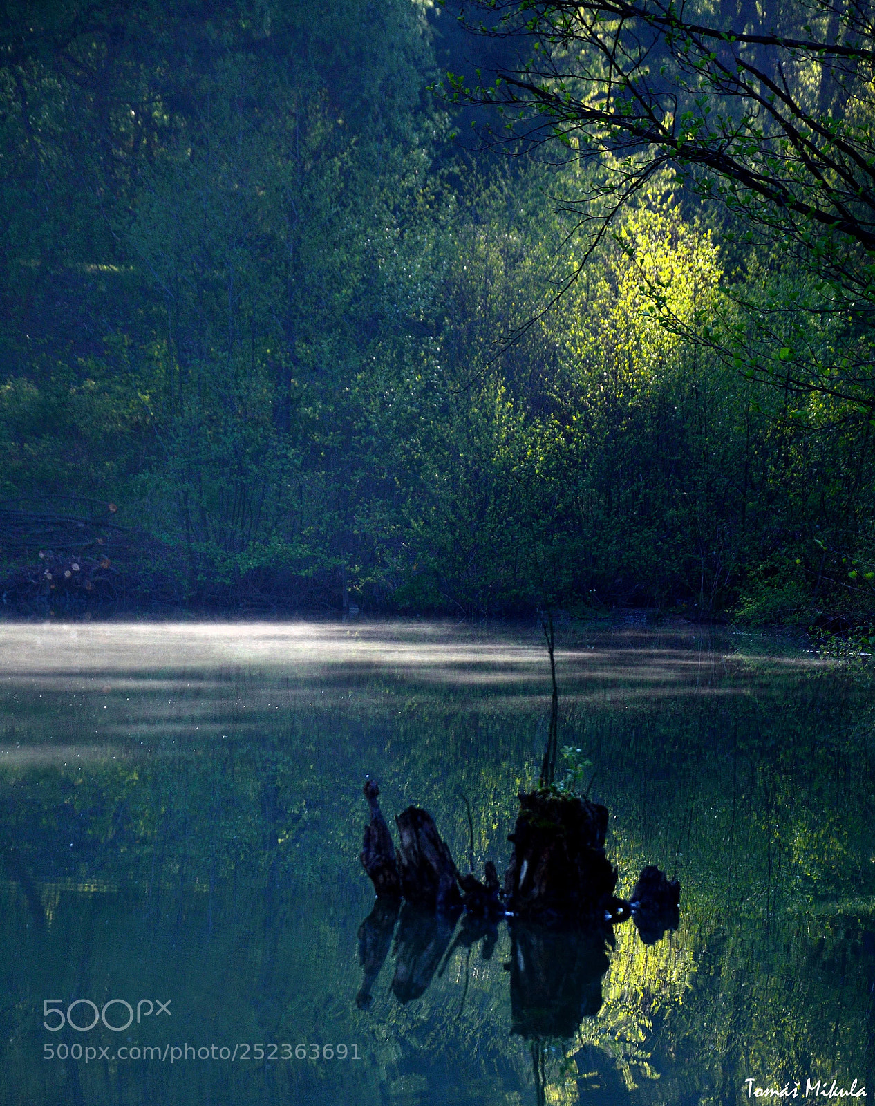 Nikon D5100 sample photo. The lake photography