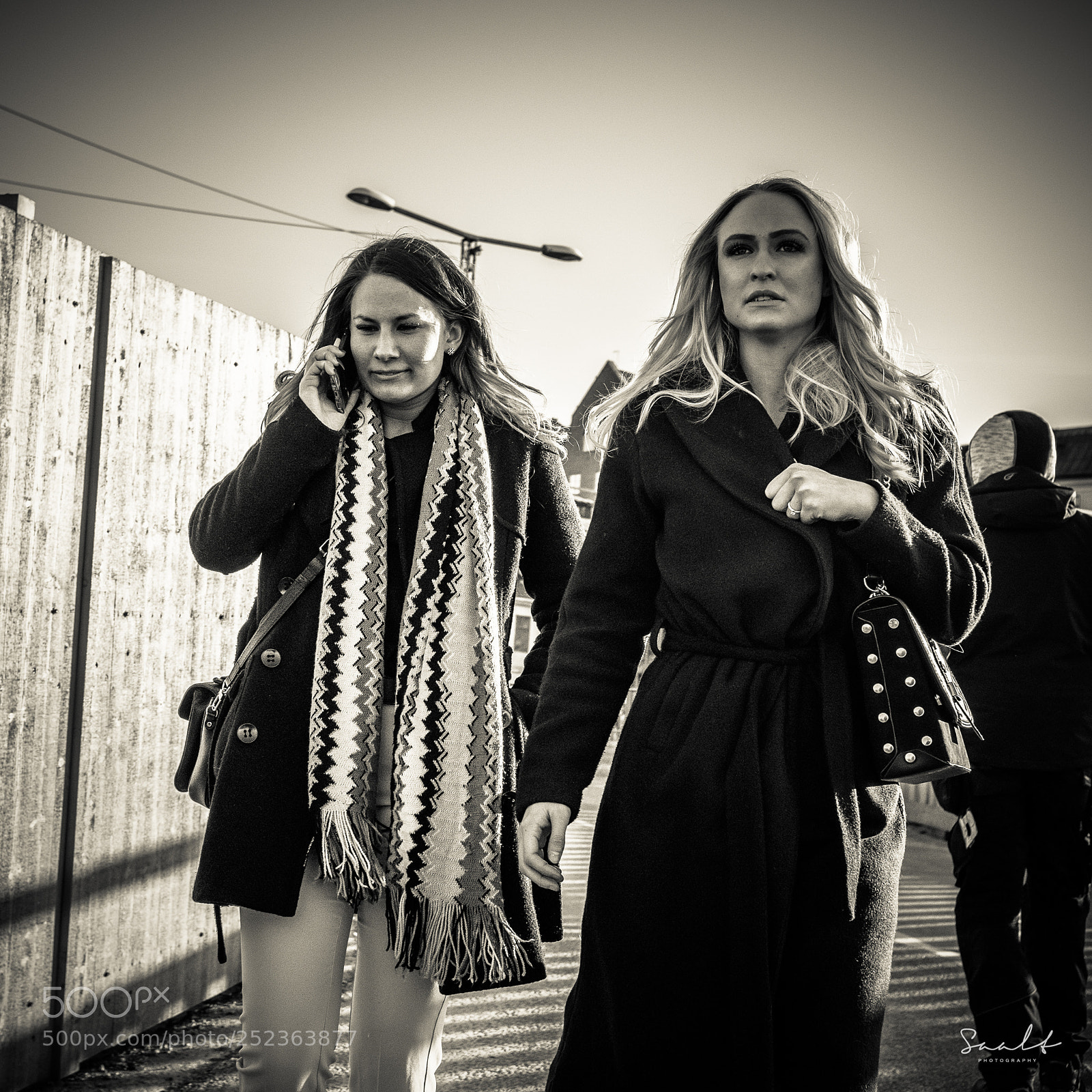 Fujifilm X100F sample photo. The same soul lioness photography