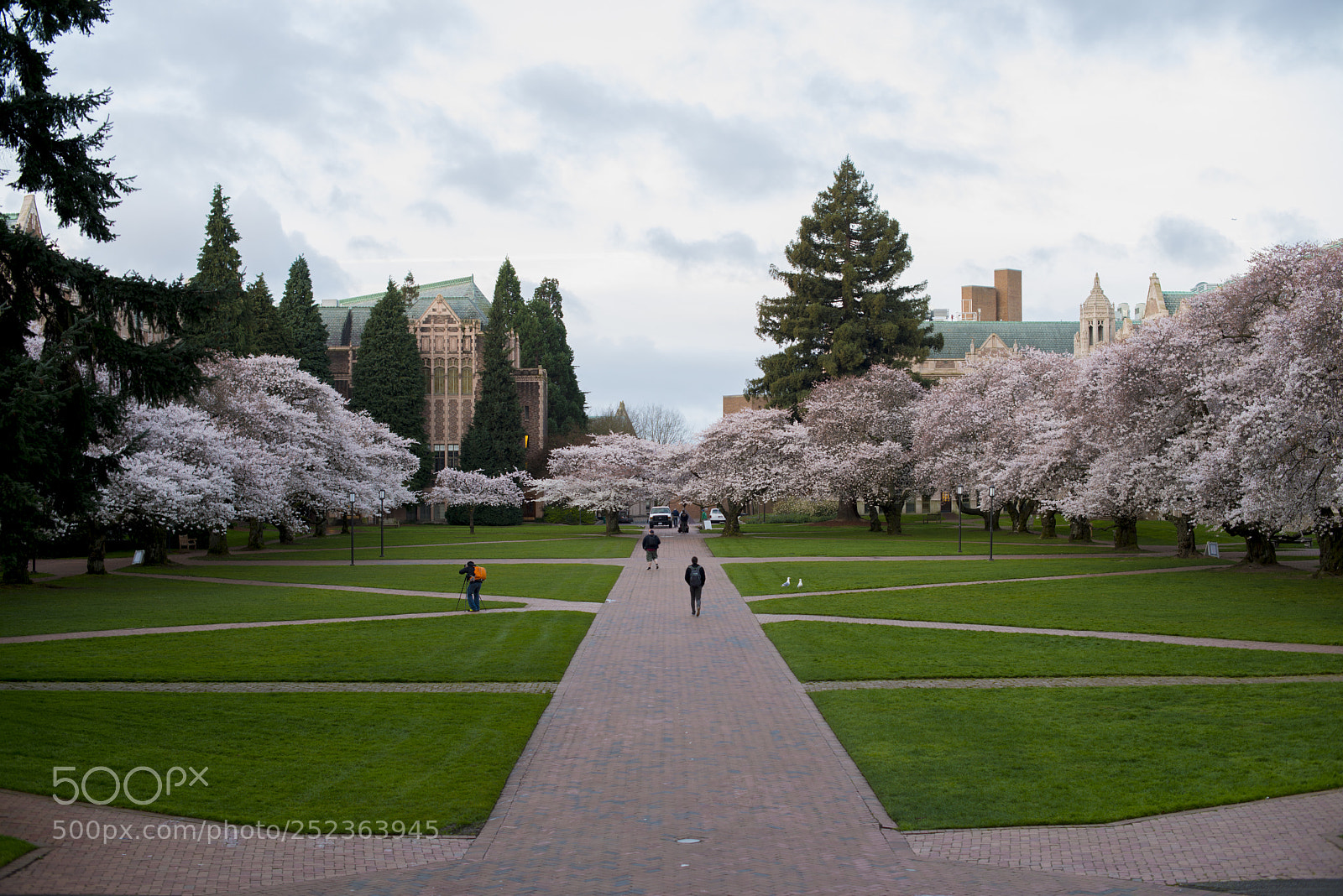 Nikon D800 sample photo. The university of washington photography