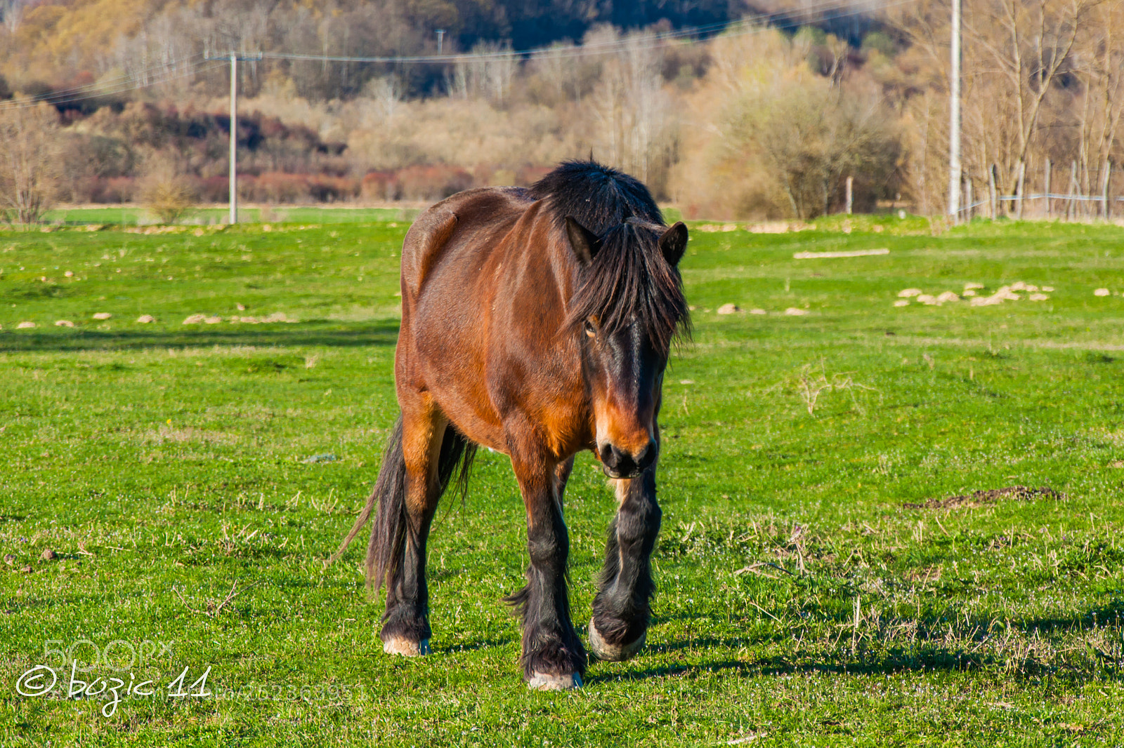 Nikon D90 sample photo. Untitled photography
