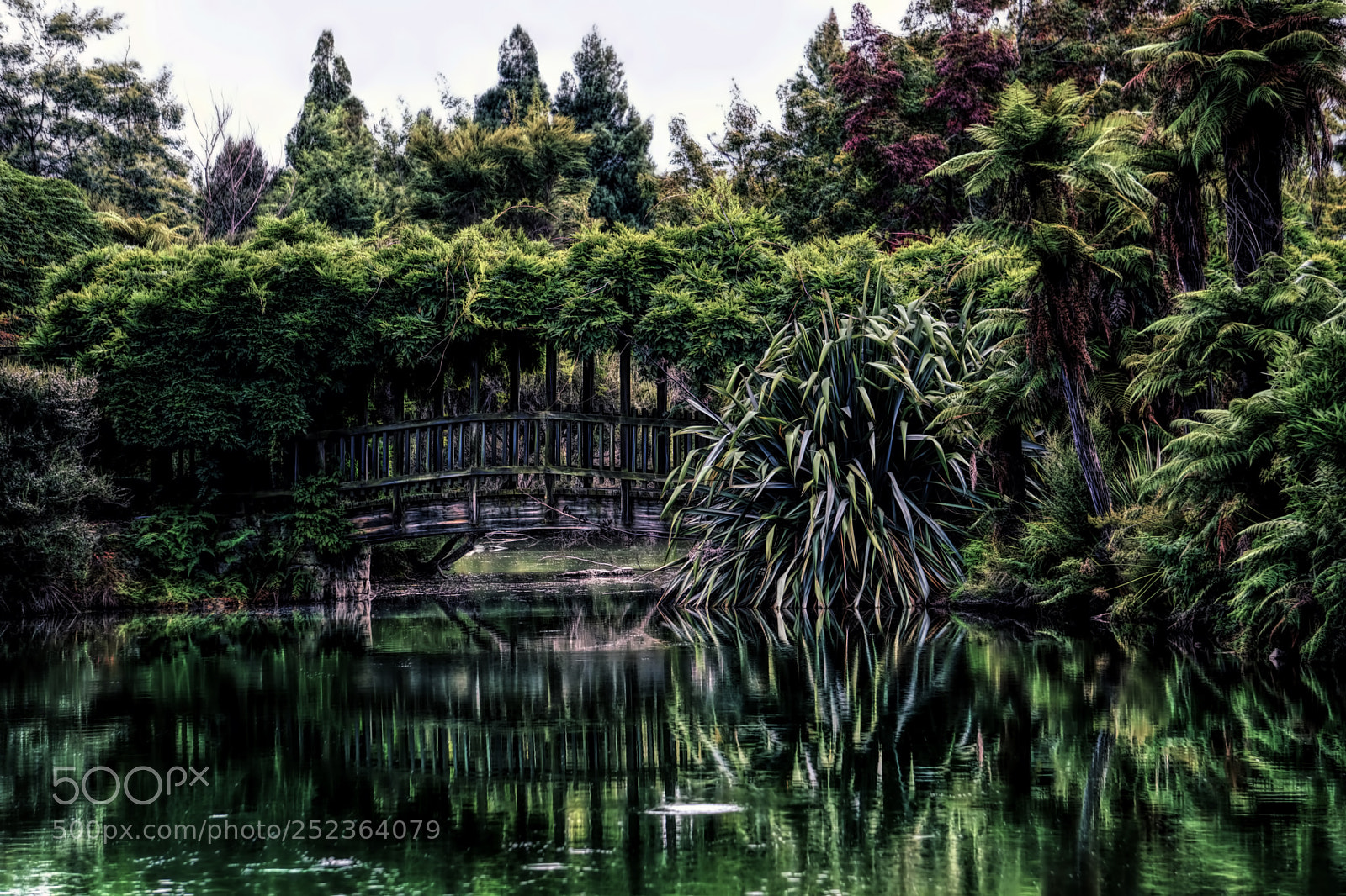 Sony a6000 sample photo. Kuirau park pond photography