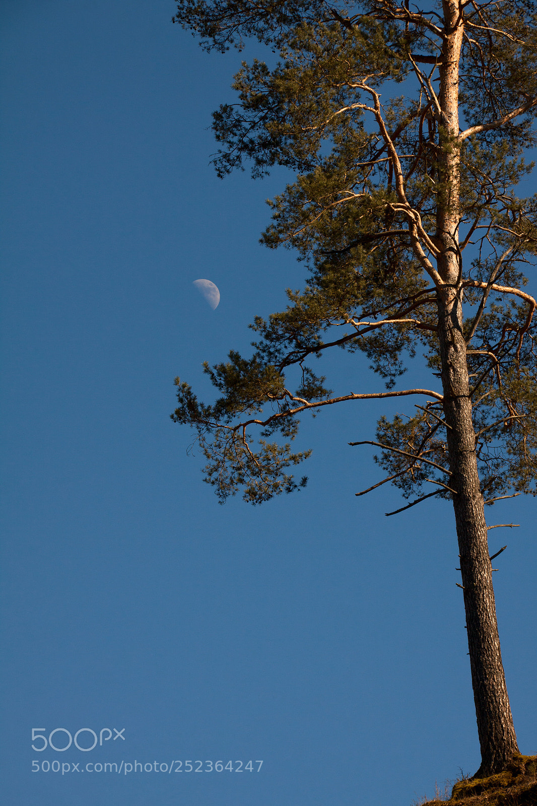 Canon EOS 50D sample photo. Daily moon photography