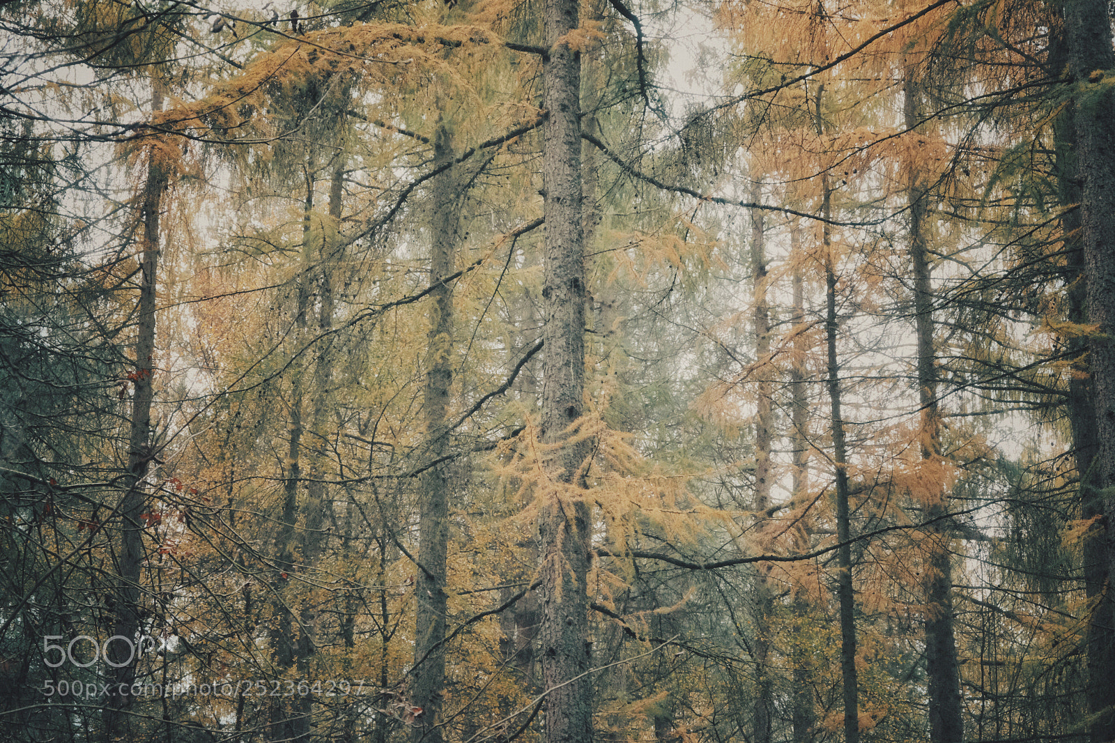 Fujifilm X-T2 sample photo. Untitled photography