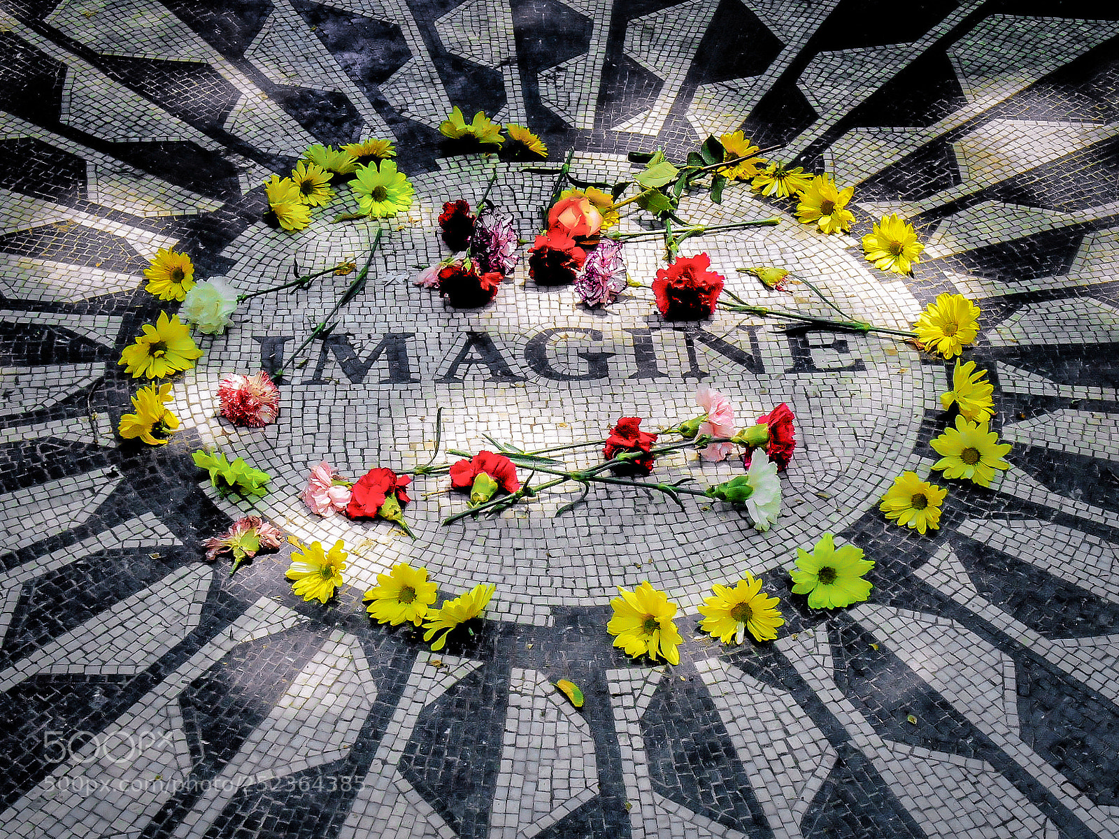 Nikon Coolpix S3500 sample photo. Imagine strawberry fields tribute photography