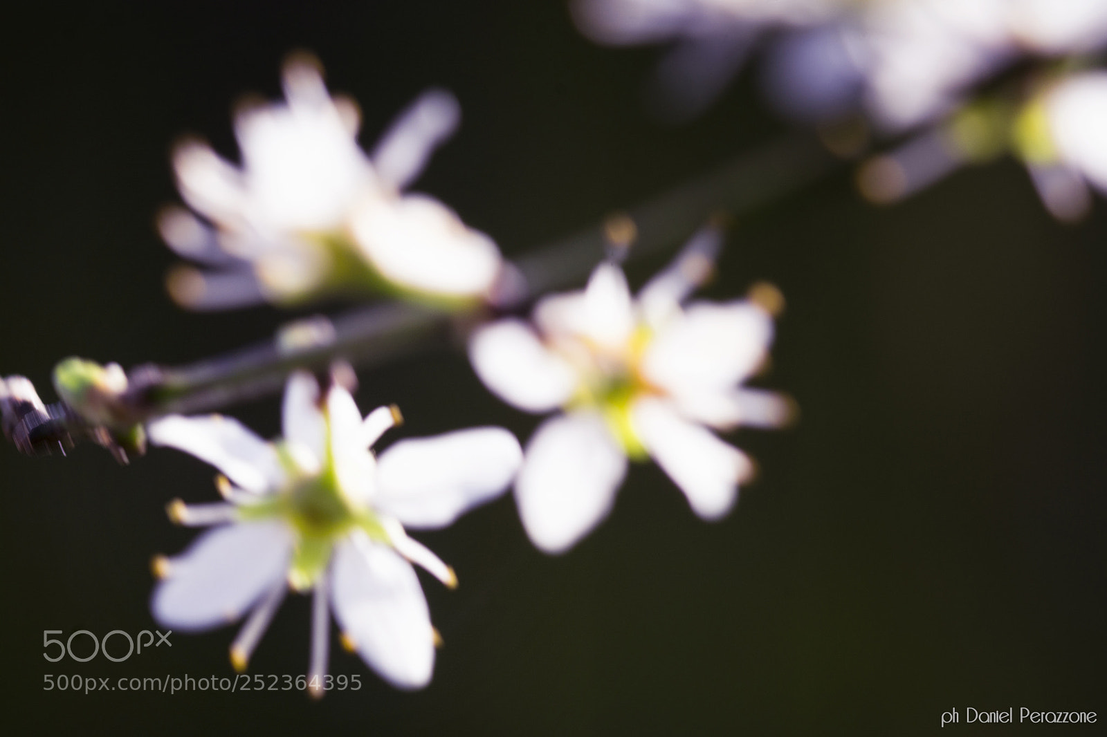 Nikon D7100 sample photo. Take a walk on photography