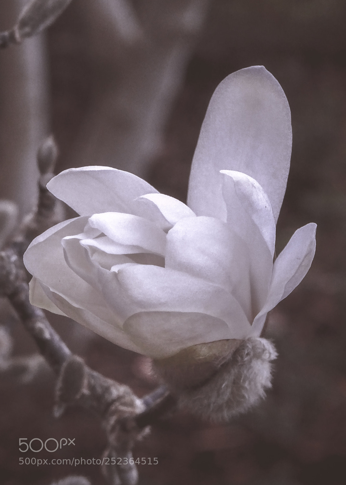 Sony DSC-HX60 sample photo. The new cycle photography