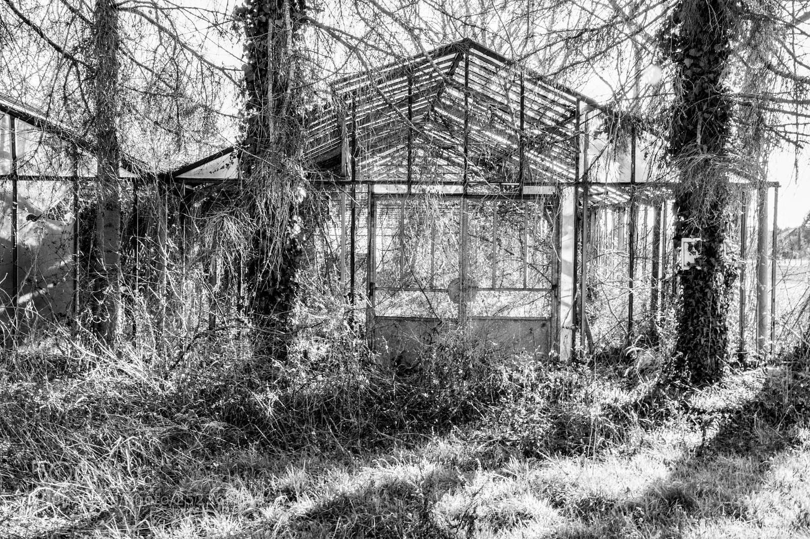 Nikon D5300 sample photo. Old glasshouse_01 photography