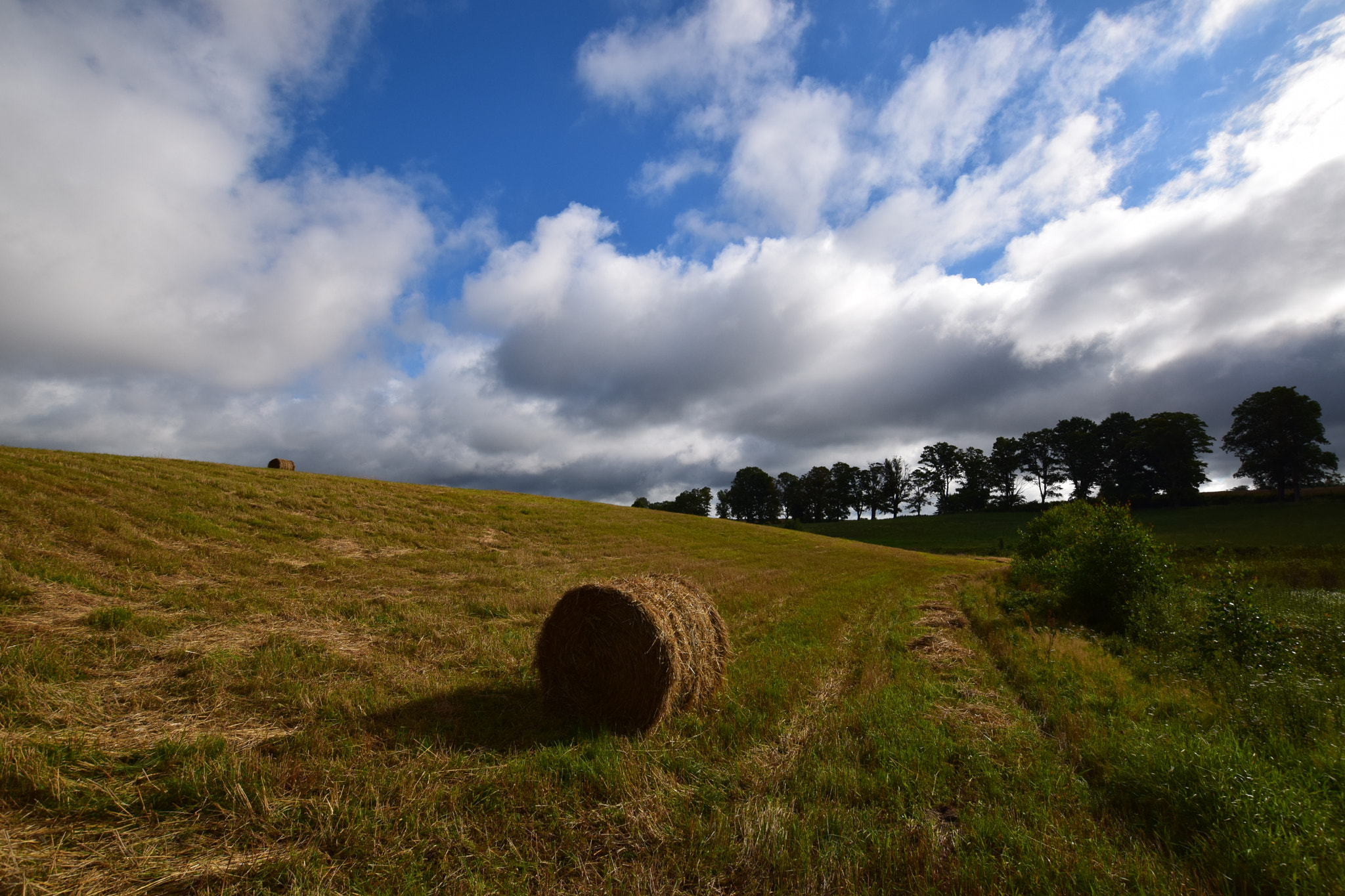 Nikon D5300 sample photo. Field. photography