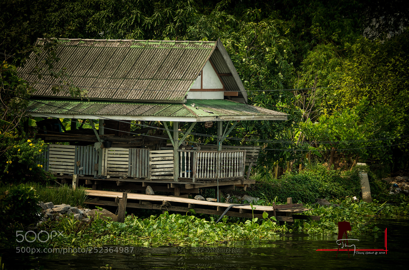 Pentax K-5 IIs sample photo. Emerald photography
