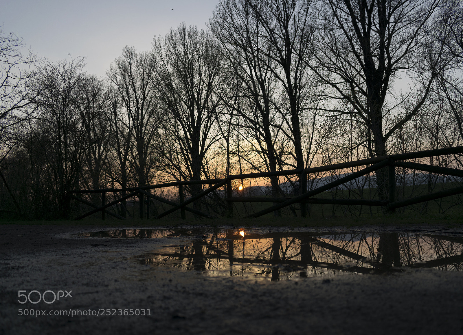 Nikon D3300 sample photo. Passeggiata al tramonto photography
