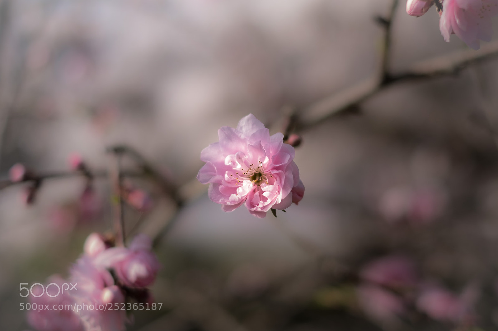 Fujifilm X-H1 sample photo. Warm & sunny day photography