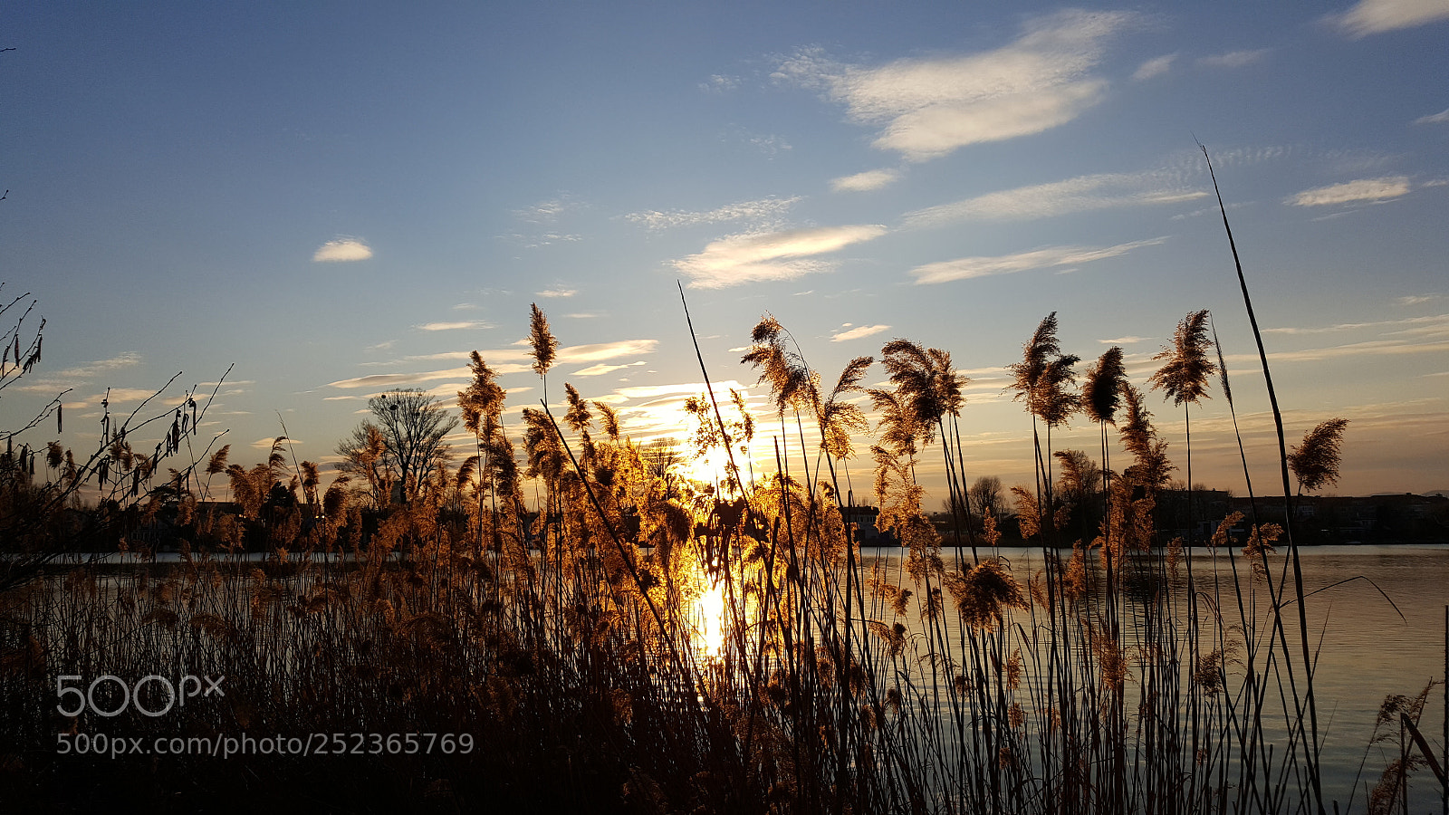 Samsung Galaxy S6 sample photo. Alte donau photography